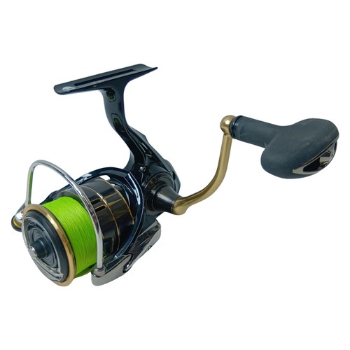 Daiwa spinning reel - spinning,