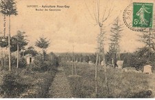 SAVOISY - Apiculture Roux-Gey - Rucher des Contriotes - Ruche