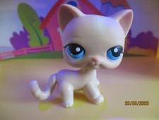 Petshop Chat Européen #228 / Avec Aimant Rose