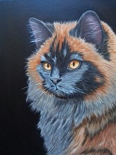 Peinture, série animalière, chat, huile sur toile, format 30/40 cm année 2025.