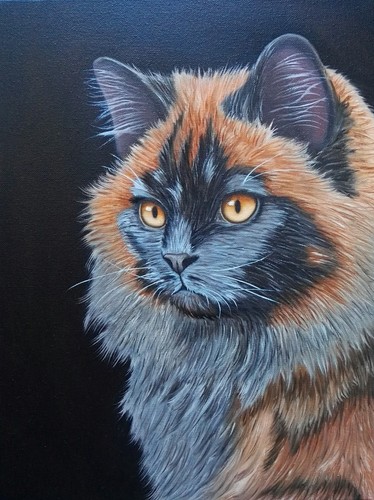 Peinture série animalière - série,