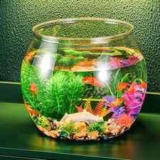 Vivier A Poisson Aquarium En