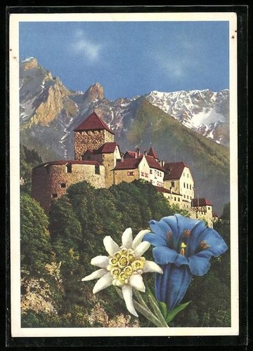 Carte postale vaduz château - carte,