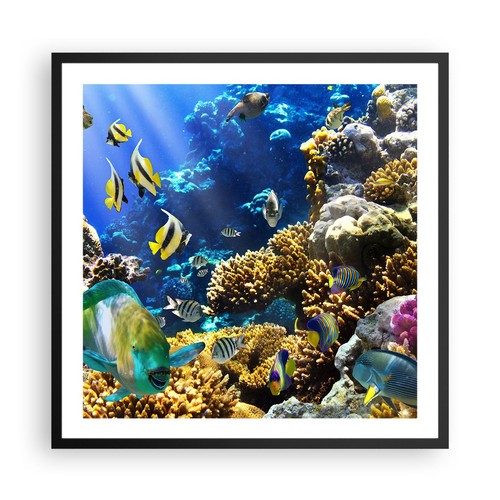 Affiche poster 60x60cm - poster,