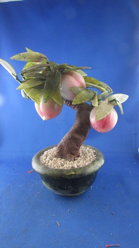 Fruit tree and - fruit, peach
