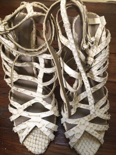 Zara collection reptile - reptile, bone