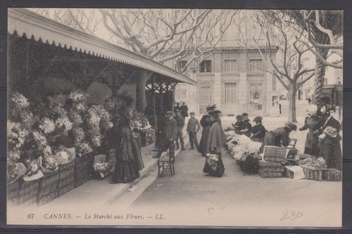 Alpes maritimes cannes - alpes,