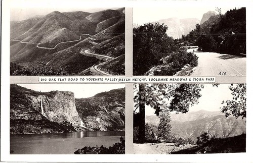 Carte postale rppc big oak - carte,