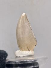 0.9''/2,3cm  TOP QUALITY