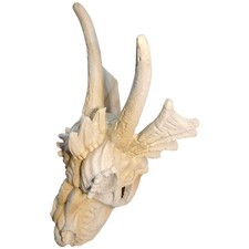  Dragon Skull Crevettes Hideout Aquarium Decoration Simulate Dragon Skull