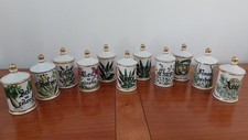 11 Pots en porcelaine à épices genre pots à pharmacie