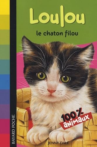 Loulou chaton filou dale - filou,