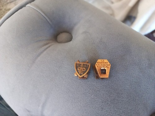Insigne boutonnière eme - insigne, 11