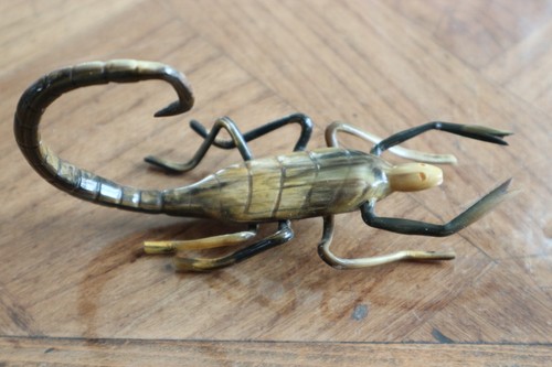 Scorpion corne objet - scorpion, corne,