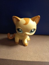 authentic LPS LITTLEST PETSHOP # 1024 Chat Européen hasbro