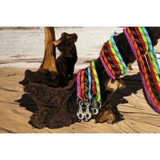 ZOLUX Laisse corde  nylon  2M ZOLUX