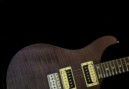 Paul reed smith - paul,