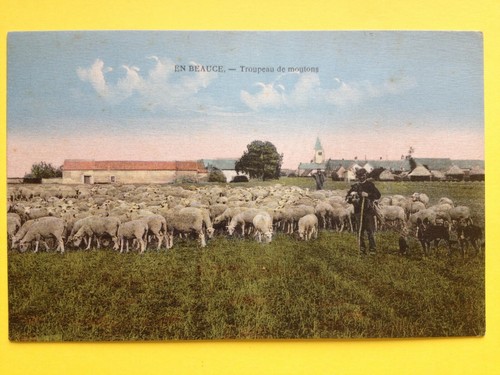 Cpa france beauce - cpa, troupeau