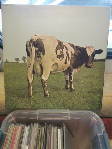 Vinyle tours pink floyd - pink,