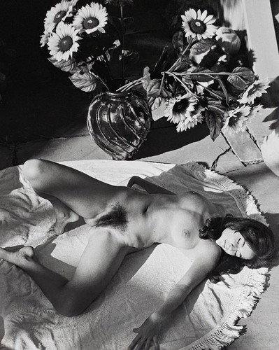 Andre dienes photo - photo, en