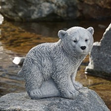 Ours polaire ours polaire