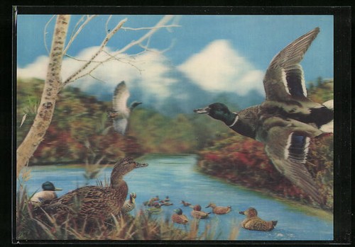 Carte postale famille de - carte,