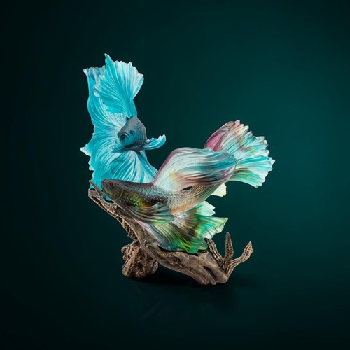 Daum mer corail - mer, de
