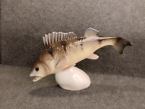 Beau poisson signé - , dux
