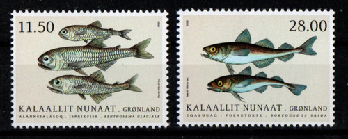 Groenland greenland 2022 - greenland,