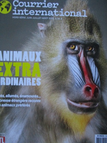 Courrier international - courrier,