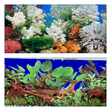 poster fond aquarium