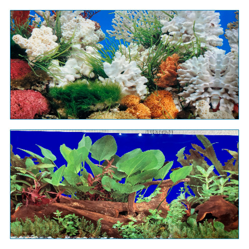 Poster fond aquarium - fond,