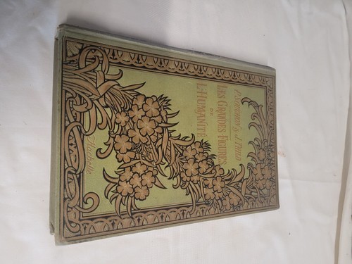 Livre ancien illustré les - livre,