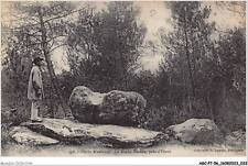 AGCP7-56-0550 - Pierre branlante - la roche binette - pres d'ELVEN