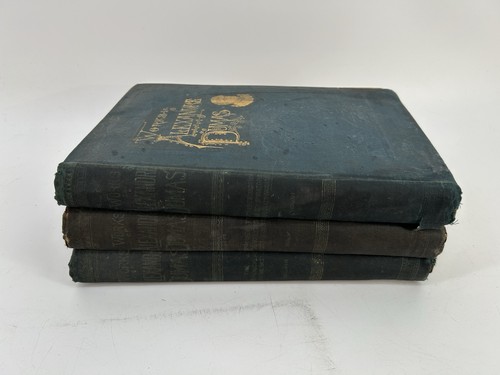 Antique 1893 the - antique,
