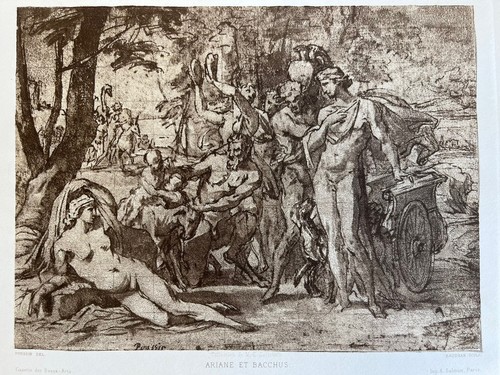 Poussin baudran - poussin, /