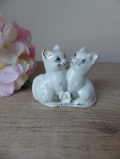 Duo de Chats Blancs Amoureux
