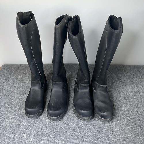 Pair mountain horse - 2,