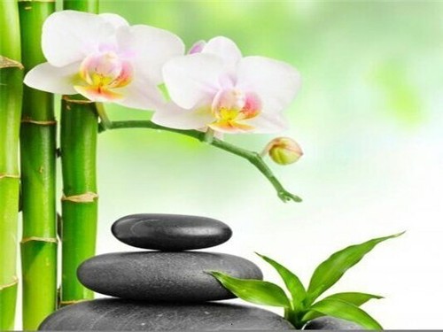 Toile tableau zen bien - ,