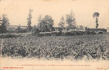 CPA 11 RIEUX MINERVOIS LE PONT DE BOIS ET PONT DU CHEMIN DE FER