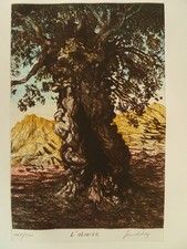 Gerard DIAZ : L'olivier -