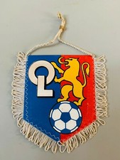 OL Lyon olympique lyonnais