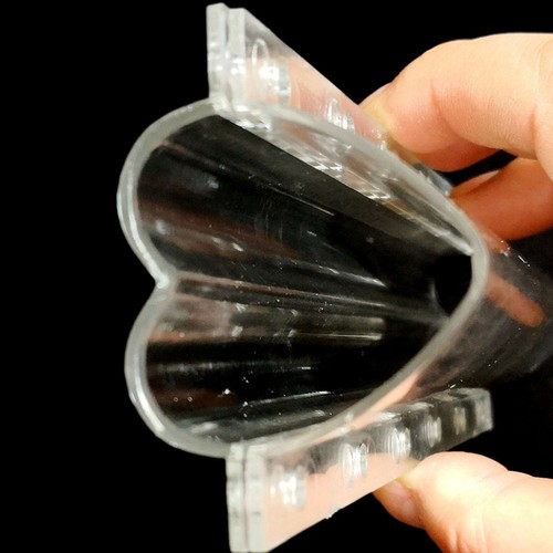 Moule concombre de - moule,
