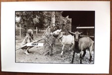 Photo presse vintage BRIGITTE BARDOT Bazoches chèvre  (20 x 30 cm) De Raemy