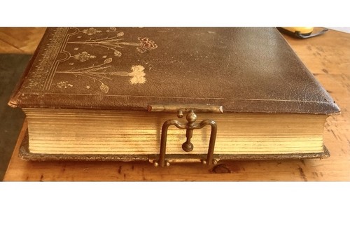 Album photo ancien - album, cuir