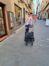 poussette pour animale