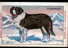 IMAGE CHROMO BLEDINE /