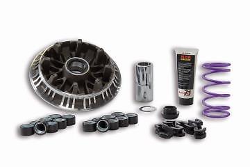 Variateur maxiscooter malossi