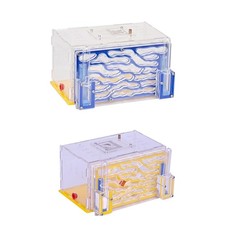 Nid de fourmis en acrylique