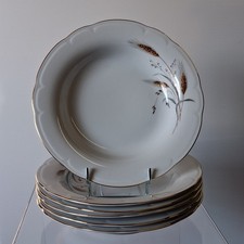 6 assiettes creuses en